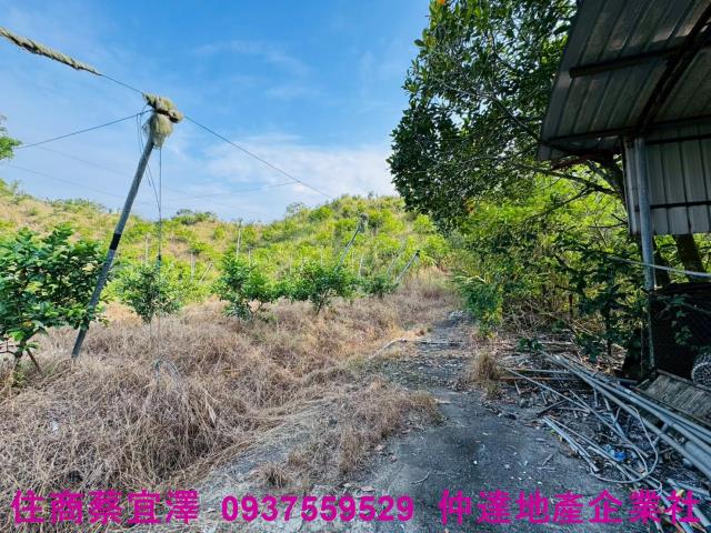 台南左鎮農地-2