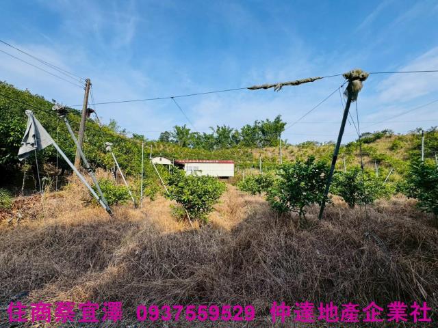 台南左鎮農地-5