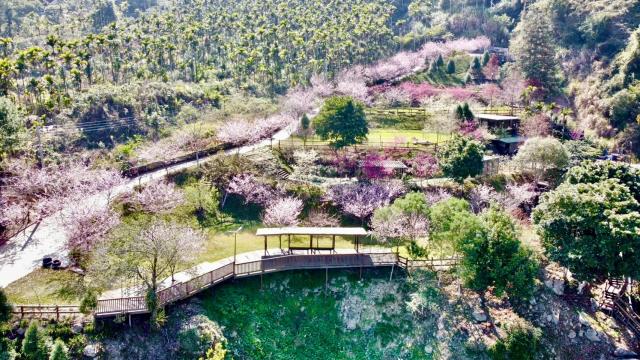 南投國姓農地-7