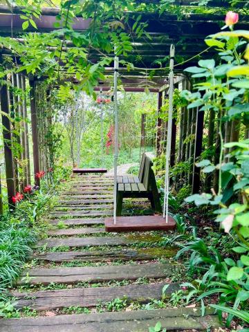 南投國姓農地-4