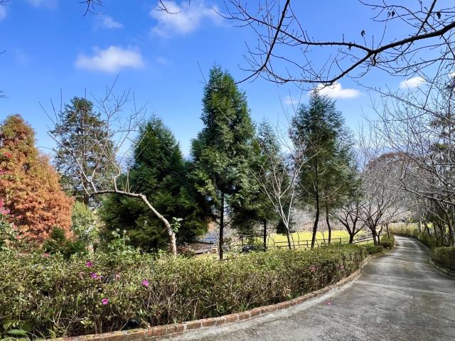 南投國姓農地-5