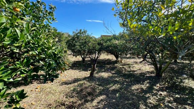 苗栗頭份農地-8