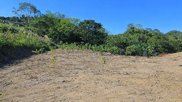 新竹北埔農地-0