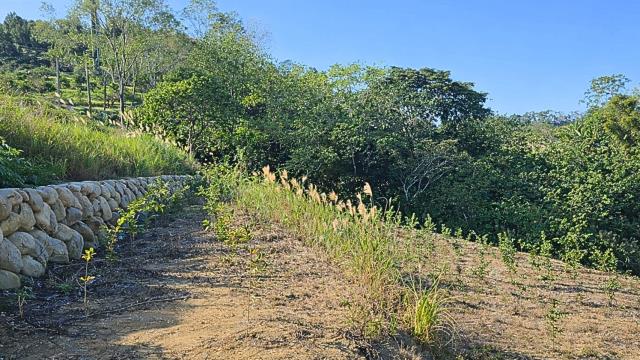 新竹北埔農地-5