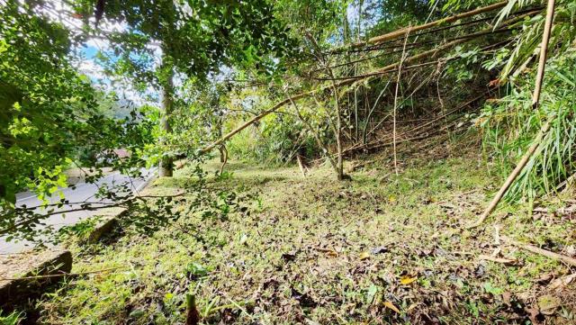 新竹北埔農地-7