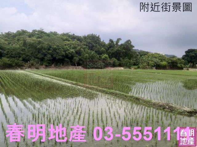 芎林水坑芎林土地