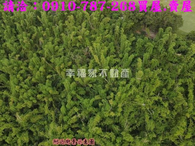 高雄大社農地-14
