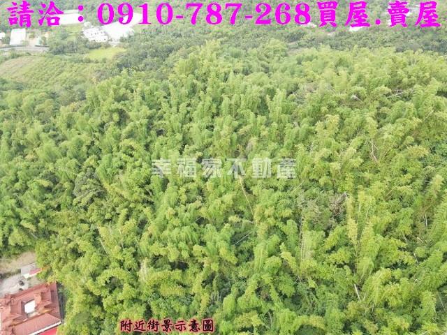 高雄大社農地-5