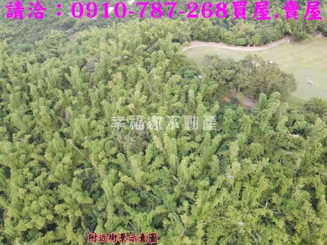 高雄大社農地-8