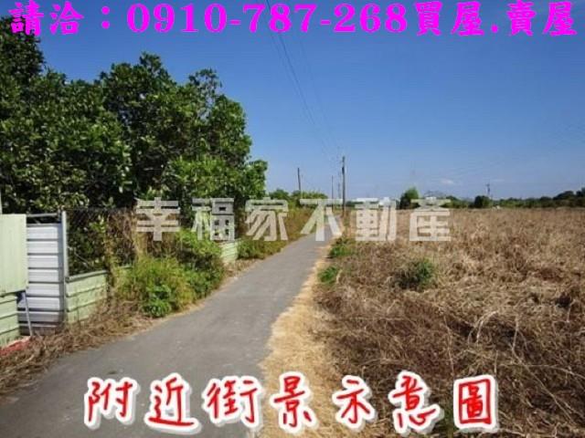 台南新市農地-12