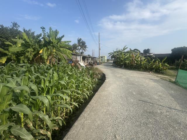 高雄路竹農地-2