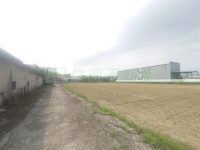 大寮農地-4