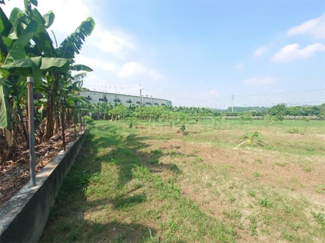 大樹農地-2