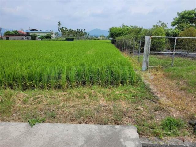美濃農地-10
