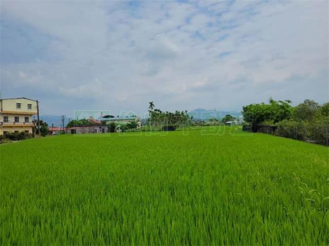 美濃農地-11