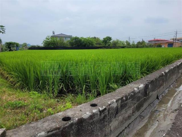 美濃農地-12