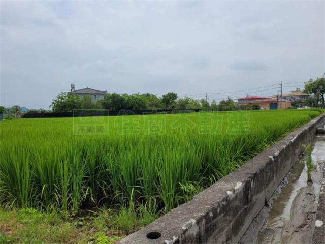 美濃農地-13