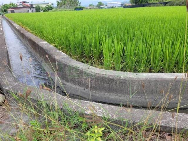 美濃農地-14