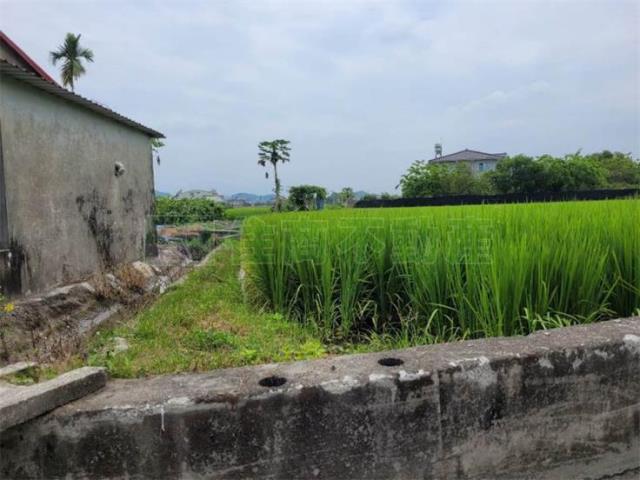 美濃農地-7