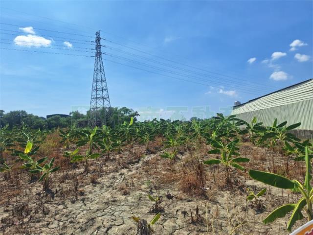 岡山農地-8