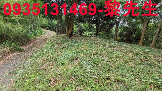 北埔土地北埔農地