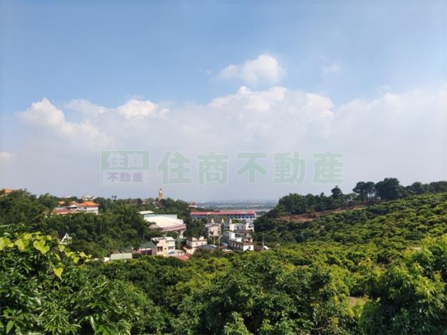 大樹農地-3