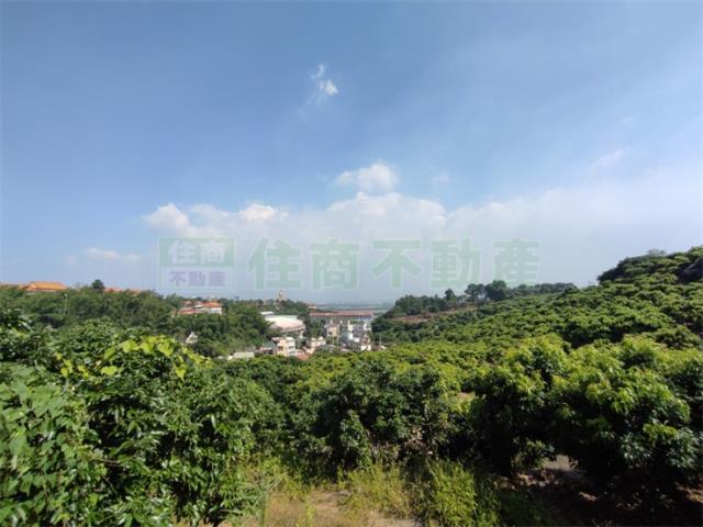 大樹農地-4