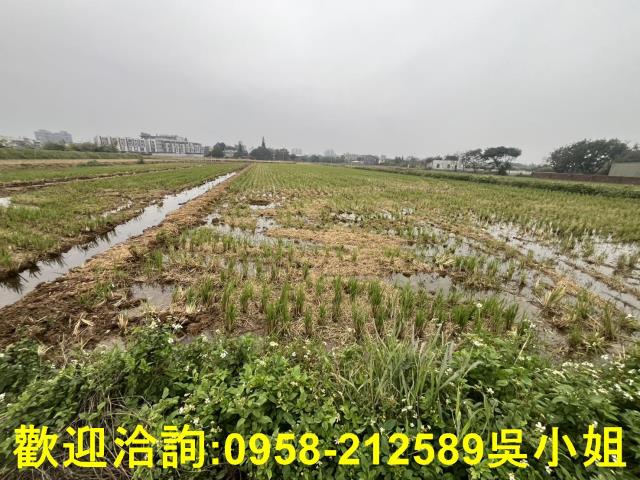 峨眉柑橘園全平農地