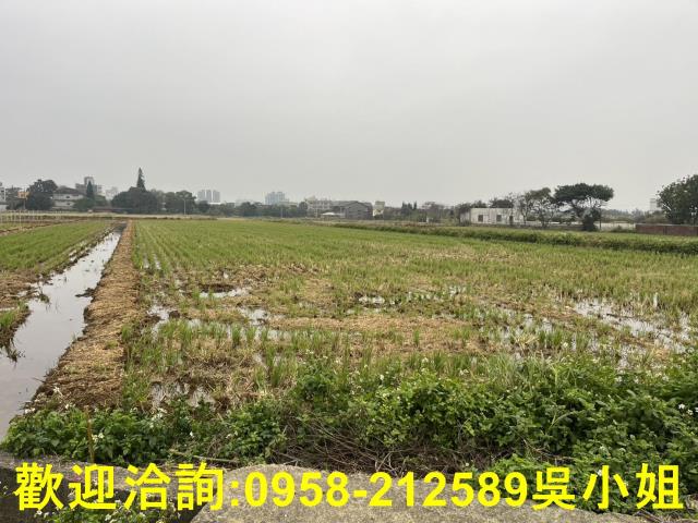 湖口農地-4