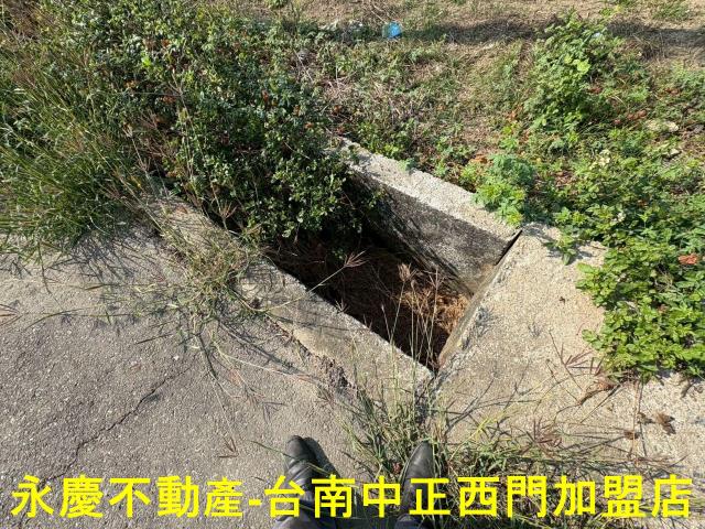 鹽水農地-10