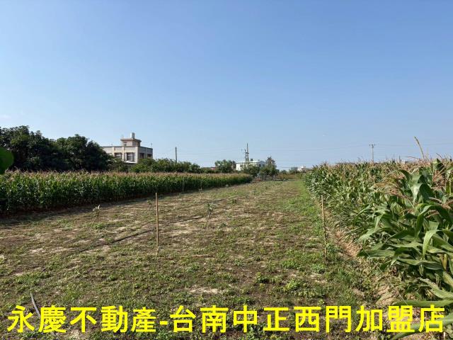鹽水農地-1