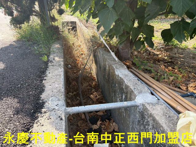 鹽水農地-2