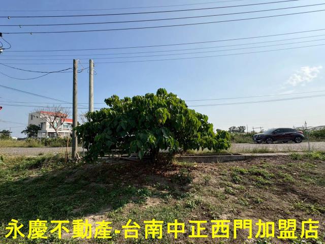 鹽水農地-5