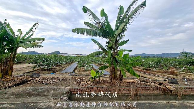高雄農地-6