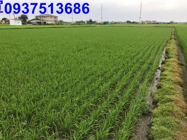 宜蘭縣員山鄉七賢段農地出售