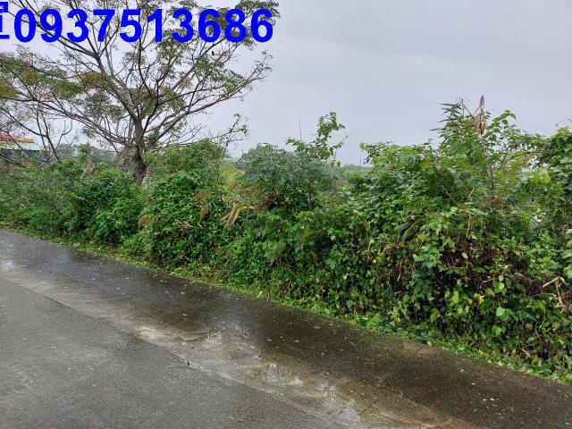 宜蘭礁溪農地-3