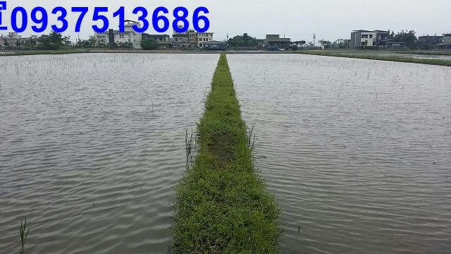 宜蘭礁溪農地-4