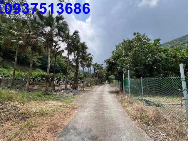 宜蘭縣員山鄉內湖一段農地出售