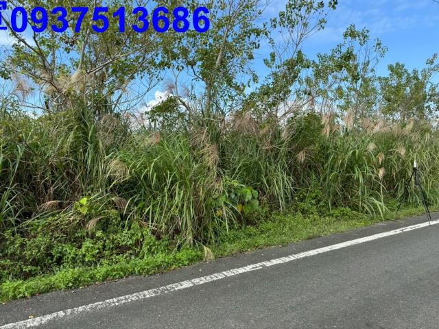 宜蘭縣宜蘭市宜福段農地出售