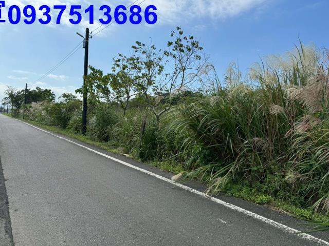 宜蘭壯圍農地-2