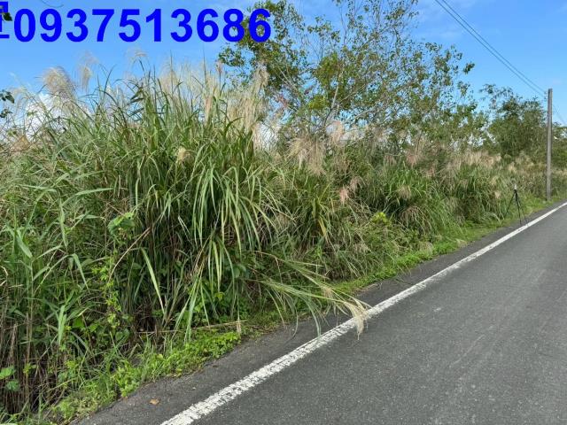 宜蘭壯圍農地-7