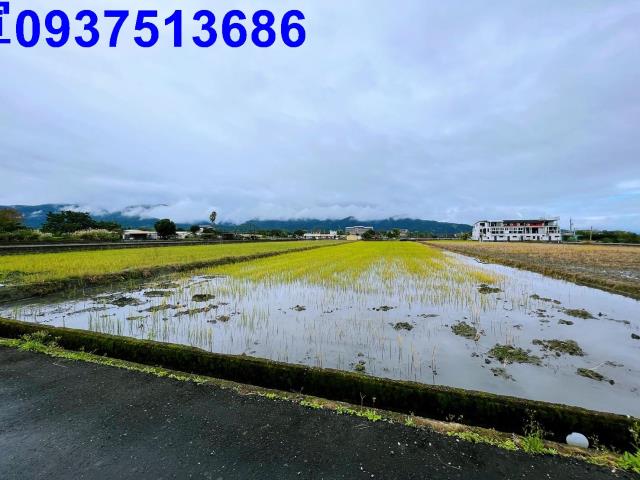 宜蘭縣員山鄉新永同段農地出售