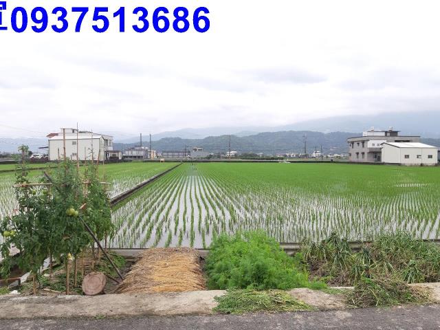 宜蘭礁溪農地-7