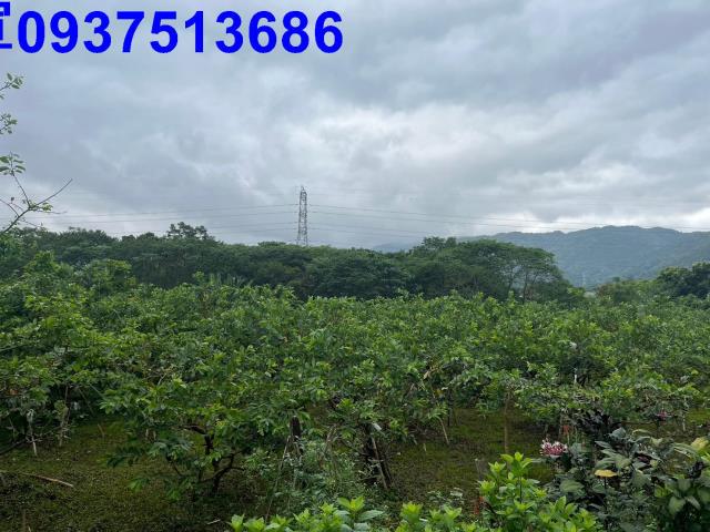 宜蘭員山農地-1