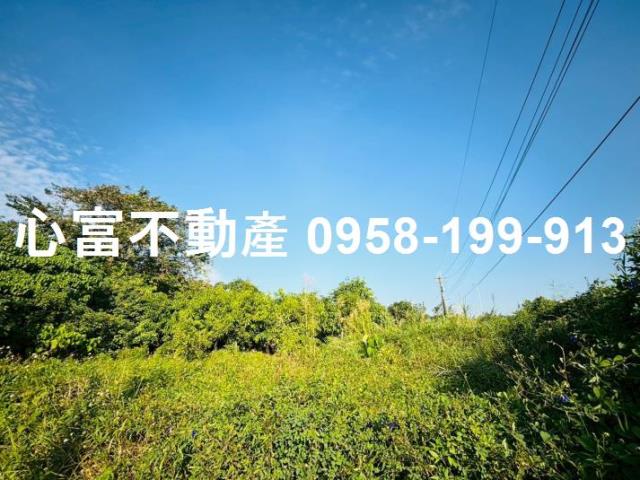 大寮區近光明路三段漂亮農地801坪出售