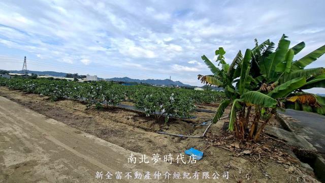 高雄燕巢農地-1