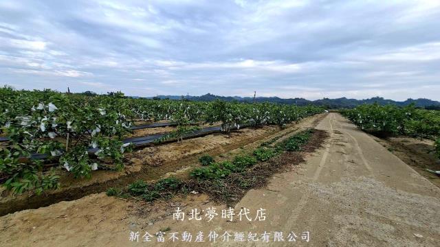 高雄燕巢農地-4