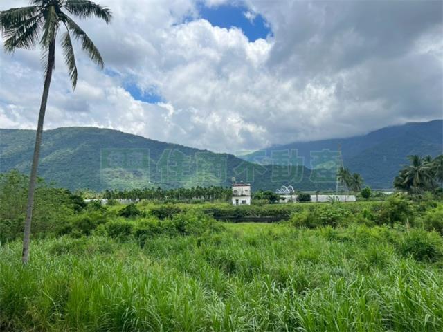 六龜農地-5