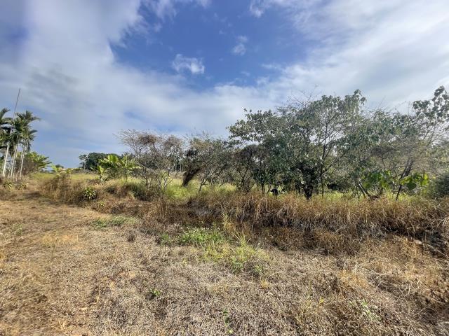 鹿谷永隆寂靜山林玻璃屋