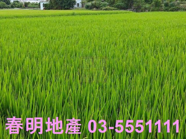 竹北農地-7